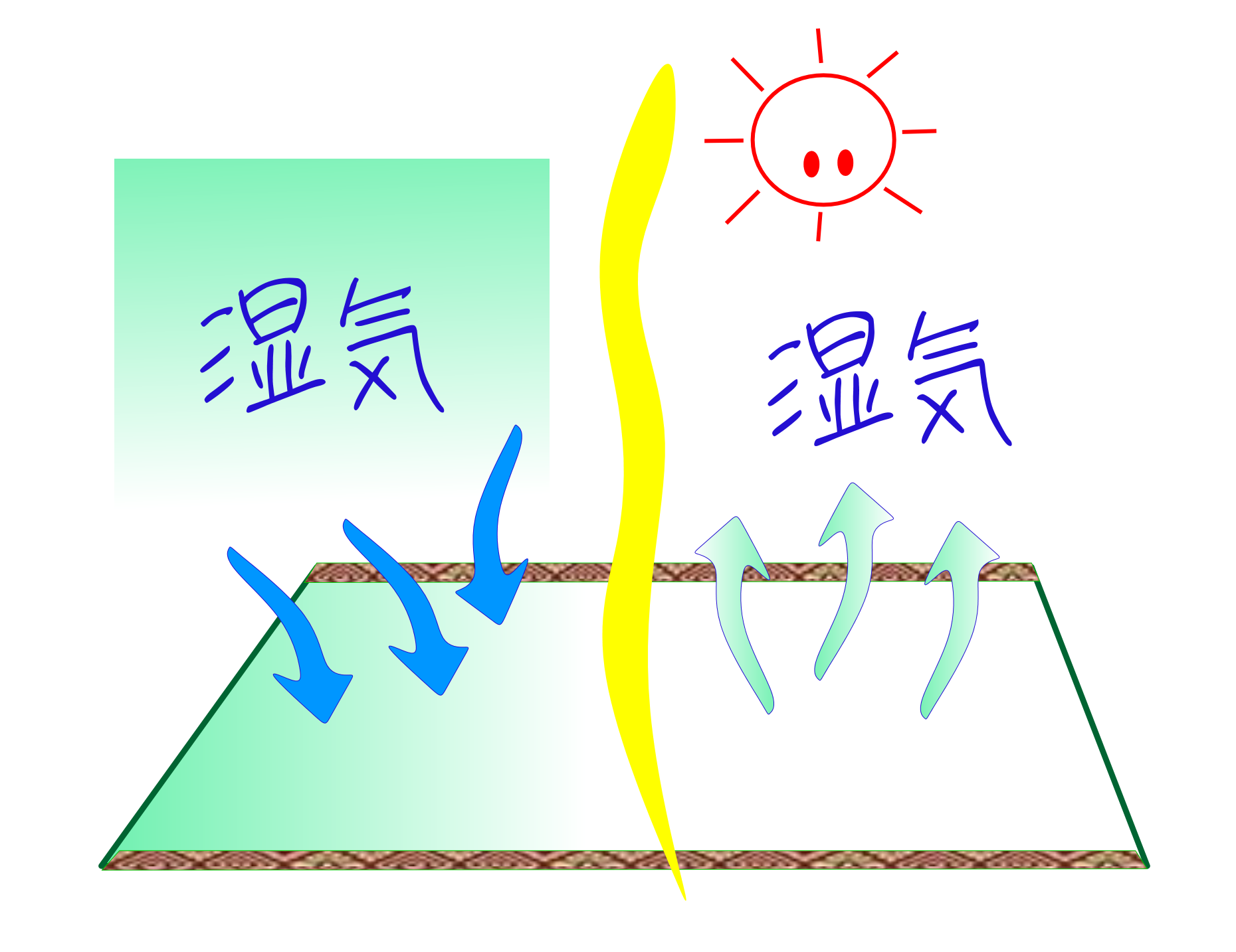 たたみの吸湿・放湿